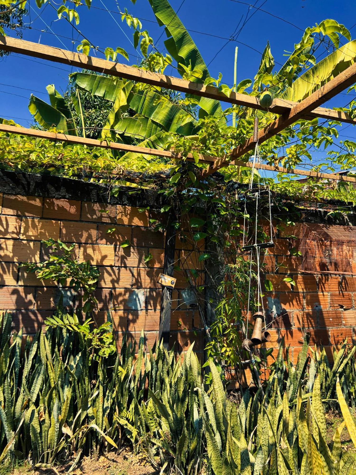 Solárium Posada Socorro Exterior foto